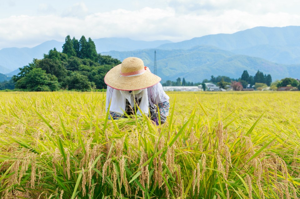 AdobeStock_404997621-960x639